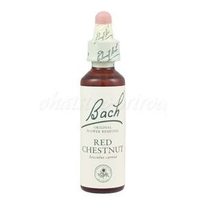 Red Chestnut - Červený gaštan 20 ml - bachove kvapky vyobraziť