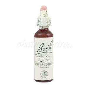 Sweet Chestnut - Gaštan jedlý 20 ml - bachove kvapky vyobraziť