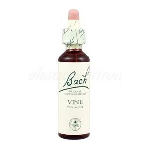 Vine - Vínna réva 20 ml - bachove kvapky vyobraziť