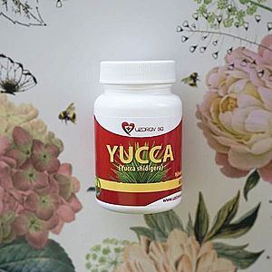 Yucca Shidigera - detoxikácia vyobraziť