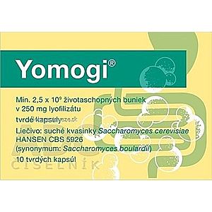 Yomogi cps dur 250 mg (blis.PVC/PE/PVDC/Al) 1x10 ks vyobraziť