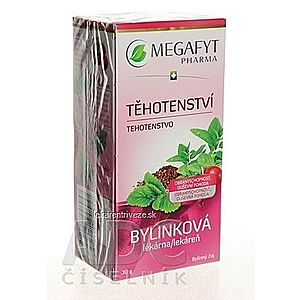 MEGAFYT Bylinková lekáreň TEHOTENSTVO bylinný čaj 20x1, 5 g (30 g) vyobraziť