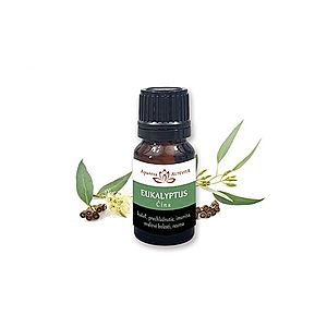 Eukalyptus - esenciálny olej vyobraziť