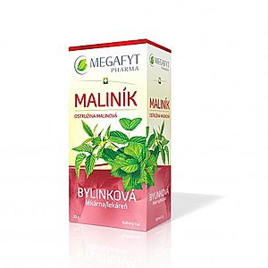 MEGAFYT Bylinková lekáreň OSTRUŽINA MALINOVÁ bylinný čaj 20 x 1, 5 g vyobraziť