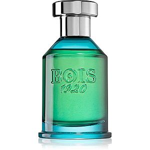 Bois 1920 Verde di Mare parfumovaná voda unisex 100 ml vyobraziť