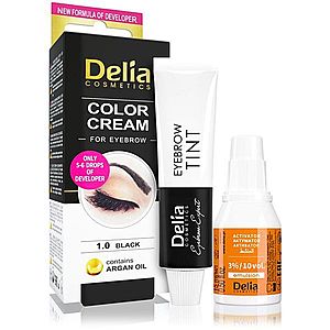 Delia Cosmetics Argan Oil farba na obočie odtieň 1.0 Black 15 ml vyobraziť