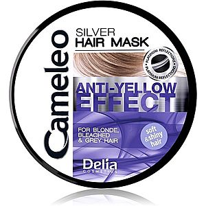 Delia Cosmetics Cameleo Silver maska na vlasy neutralizujúci žlté tóny 200 ml vyobraziť