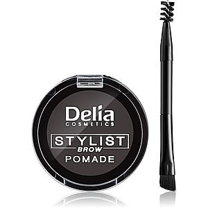 Delia Cosmetics Eyebrow Expert pomáda na obočie odtieň Graphite 4 g vyobraziť