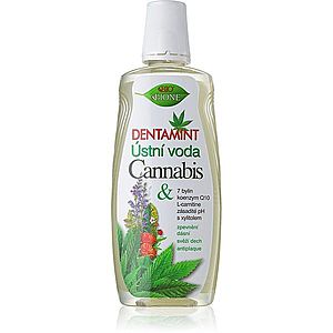 Bione Cosmetics Dentamint Cannabis ústna voda 500 ml vyobraziť