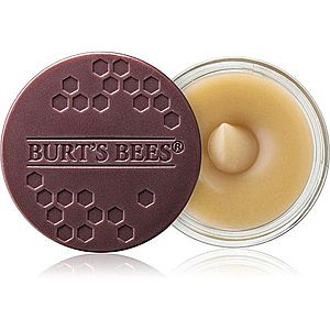 Burt’s Bees Lip Scrub peeling na pery s vyživujúcim účinkom 7.08 g vyobraziť