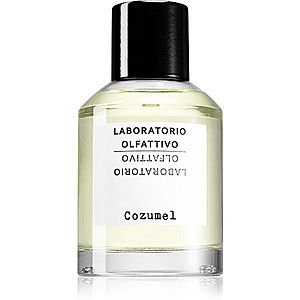Laboratorio Olfattivo Cozumel parfumovaná voda pre mužov 100 ml vyobraziť