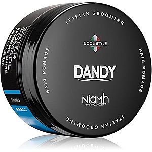 DANDY Water Pomade Extreme Shine pomáda na vlasy 100 ml vyobraziť