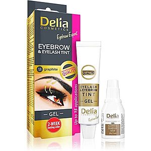 Delia Cosmetics Eyebrow Expert farba na obočie a mihalnice s aktivátorom odtieň 1.1. Graphite 2 x 15 ml vyobraziť