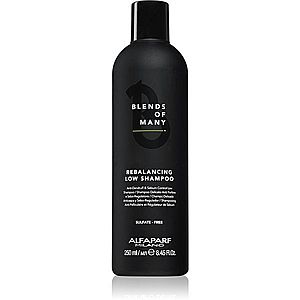 Alfaparf Milano Blends of Many Rebalancing šampón proti lupinám 250 ml vyobraziť