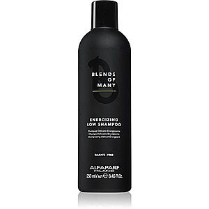 Alfaparf Milano Blends of Many Energizing energizujúci šampón pre jemné vlasy bez objemu 250 ml vyobraziť