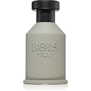 Bois 1920 Itruk parfumovaná voda unisex 100 ml vyobraziť