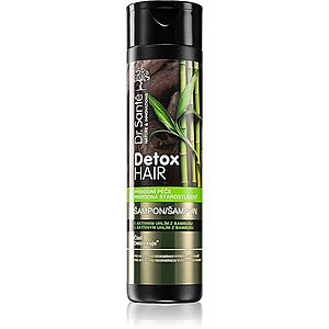 Dr. Santé Detox Hair intenzívne regeneračný šampón 250 ml vyobraziť