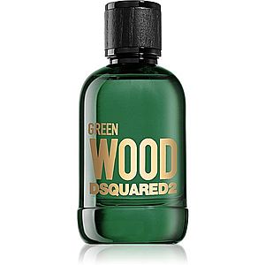 Dsquared2 Green Wood toaletná voda pre mužov 100 ml vyobraziť