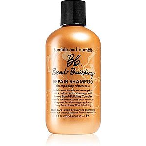 Bumble and bumble Bb.Bond-Building Repair Shampoo obnovujúci šampón na každodenné použitie 250 ml vyobraziť