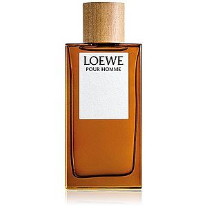 Loewe Loewe Pour Homme toaletná voda pre mužov 150 ml vyobraziť