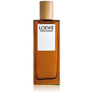 Loewe Loewe Pour Homme toaletná voda pre mužov 50 ml vyobraziť