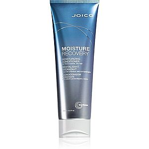 Joico Moisture Recovery hydratačný kondicionér pre suché vlasy 250 ml vyobraziť