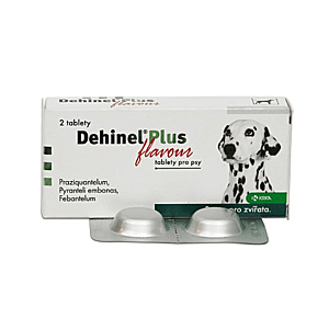 DEHINEL Plus flavour 2 tablety vyobraziť