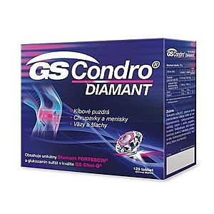 GS Condro diamant 120 tabliet vyobraziť