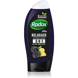 Radox Men Feel Wild sprchový gél na tvár, telo a vlasy pre mužov Blackberry & Ginger 225 ml vyobraziť