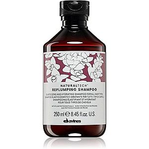 Davines Naturaltech Replumping Conditioner hydratačný šampón 250 ml vyobraziť