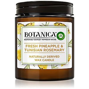 Air Wick Botanica Fresh Pineapple & Tunisian Rosemary vonná sviečka 205 g vyobraziť