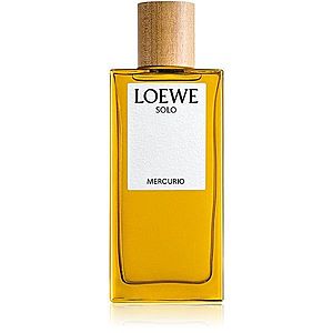 Loewe Solo Mercurio parfumovaná voda pre mužov 100 ml vyobraziť