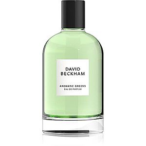 David Beckham Aromatic Greens parfumovaná voda pre mužov 100 ml vyobraziť