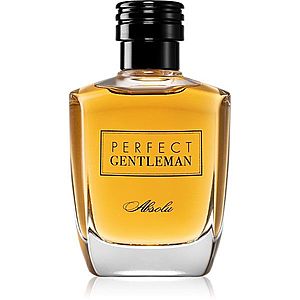 Art & Parfum Perfect Gentleman Absolu parfumovaná voda pre mužov 100 ml vyobraziť
