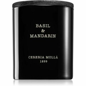 Cereria Mollá Boutique Basil & Mandarin vonná sviečka 230 g vyobraziť