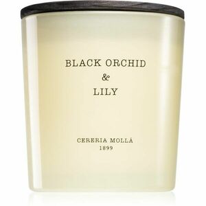 Cereria Mollá Boutique Black Orchid & Lily vonná sviečka 600 ml vyobraziť