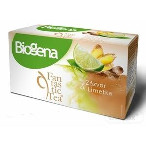 Biogena Fantastic Tea Zázvor & Limetka vyobraziť
