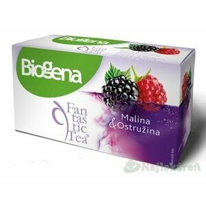 Biogena Fantastic Malina & Ostružina ovocný čaj aromatizovaný 20 x 2, 2 g vyobraziť