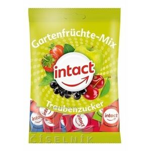 INTACT Gartenfrüchte - Mix Hroznový cukor pastilky s príchuťou záhradného ovocia 1x100 g vyobraziť