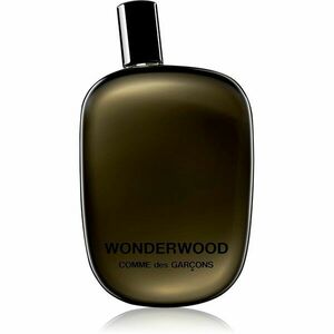 Comme des Garçons Wonderwood parfumovaná voda pre mužov 100 ml vyobraziť