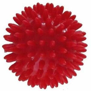 Lopta masážne ježko pr.6cm vyobraziť