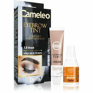 Delia Cosmetics Cameleo profesionálna krémová farba na obočie bez amoniaku odtieň 1.0 Black 15 ml vyobraziť