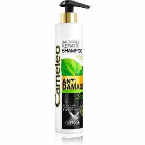 Delia Cosmetics Cameleo BB keratínový šampón pre poškodené vlasy 250 ml vyobraziť