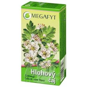 MEGAFYT Hlohový čaj spc (záparové vrecúška) 20x1, 5 g (30 g) vyobraziť