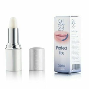 Dermaheal SAL 29 Perfect lips 4g vyobraziť
