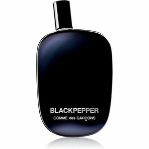 Comme des Garçons Blackpepper parfumovaná voda unisex 100 ml vyobraziť