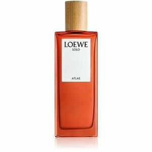 Loewe Solo Atlas parfumovaná voda pre mužov 50 ml vyobraziť