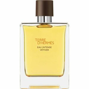 HERMÈS Terre d’Hermès Eau Intense Vétiver parfumovaná voda pre mužov 100 ml vyobraziť