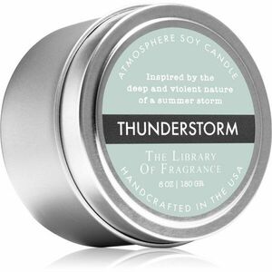 The Library of Fragrance Thunderstorm vonná sviečka 180 g vyobraziť
