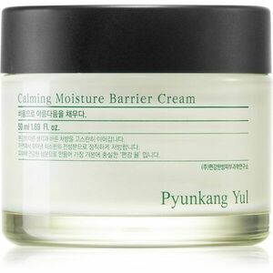 Pyunkang Yul Calming Moisture Barrier Cream upokojujúci a regeneračný krém pre citlivú pleť 50 ml vyobraziť